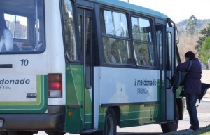 Omnibus-Maldonado-Turismo-300x192