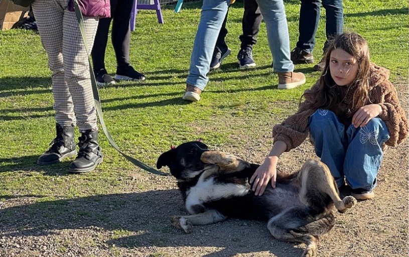 Jornada_de_Adopciones-6