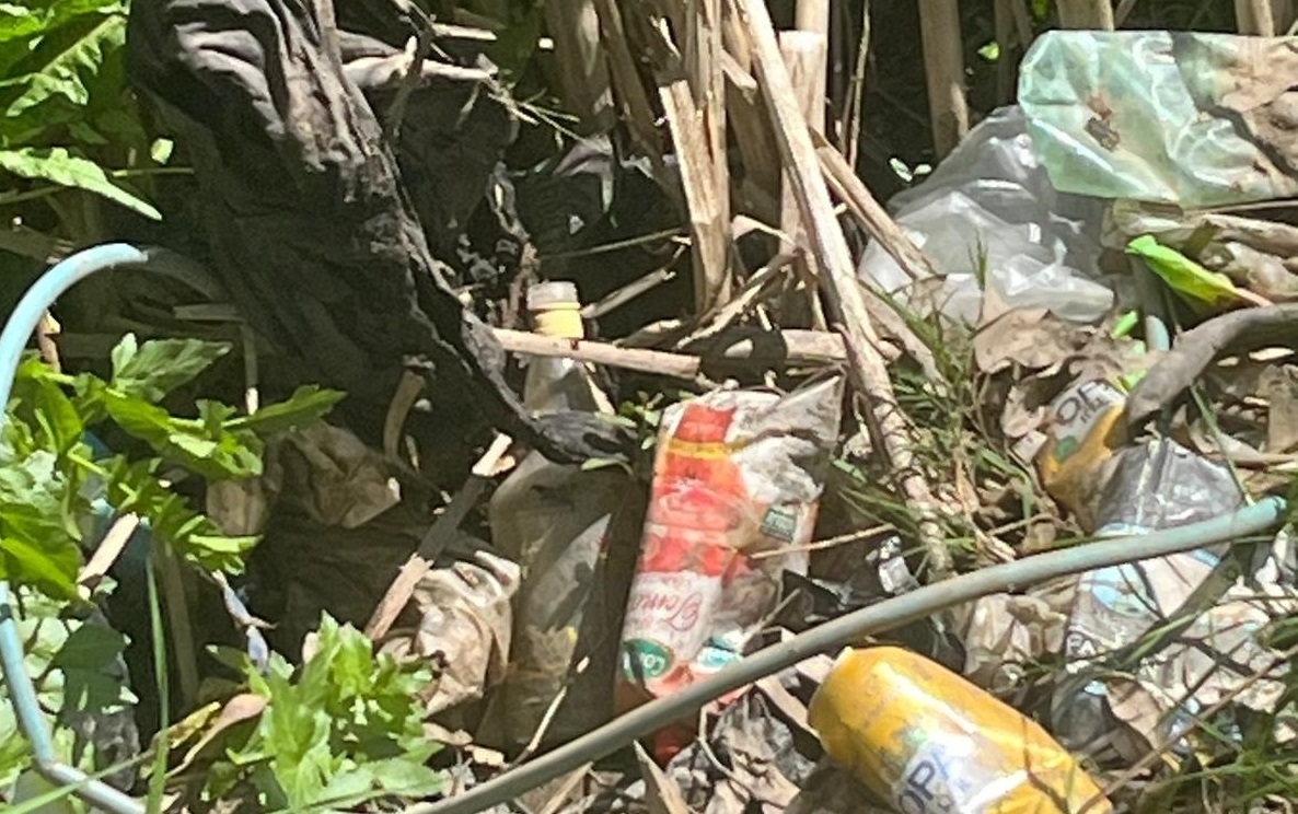 Estado_Laguna_Sauce-7
