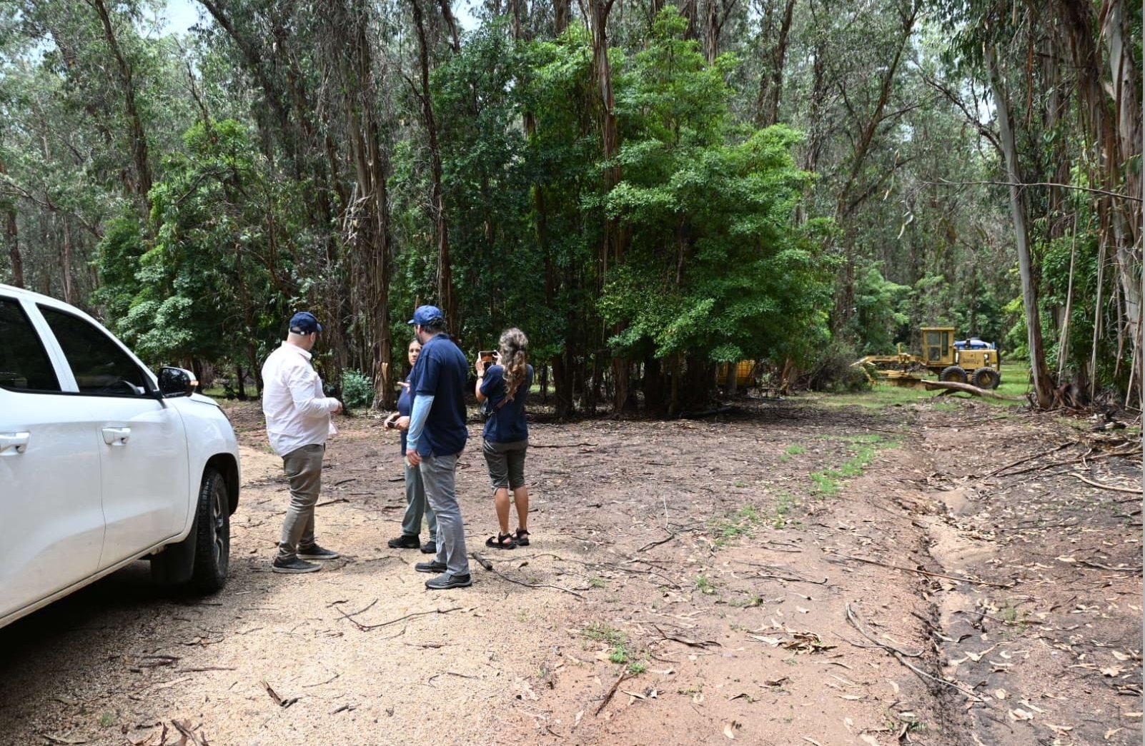 Inspeccion_Dinacea-3