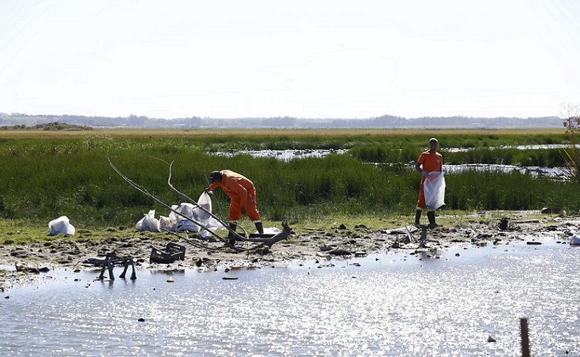 Limpieza_Arroyo_Humedal-1