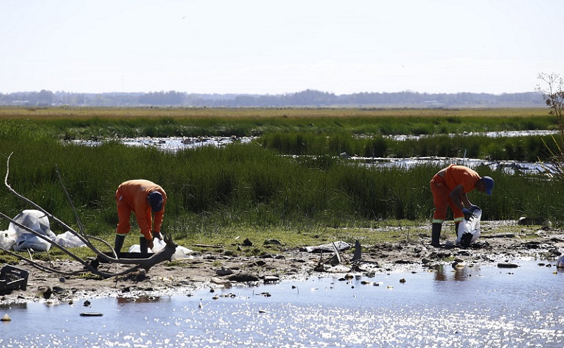 Limpieza_Arroyo_Humedal-7