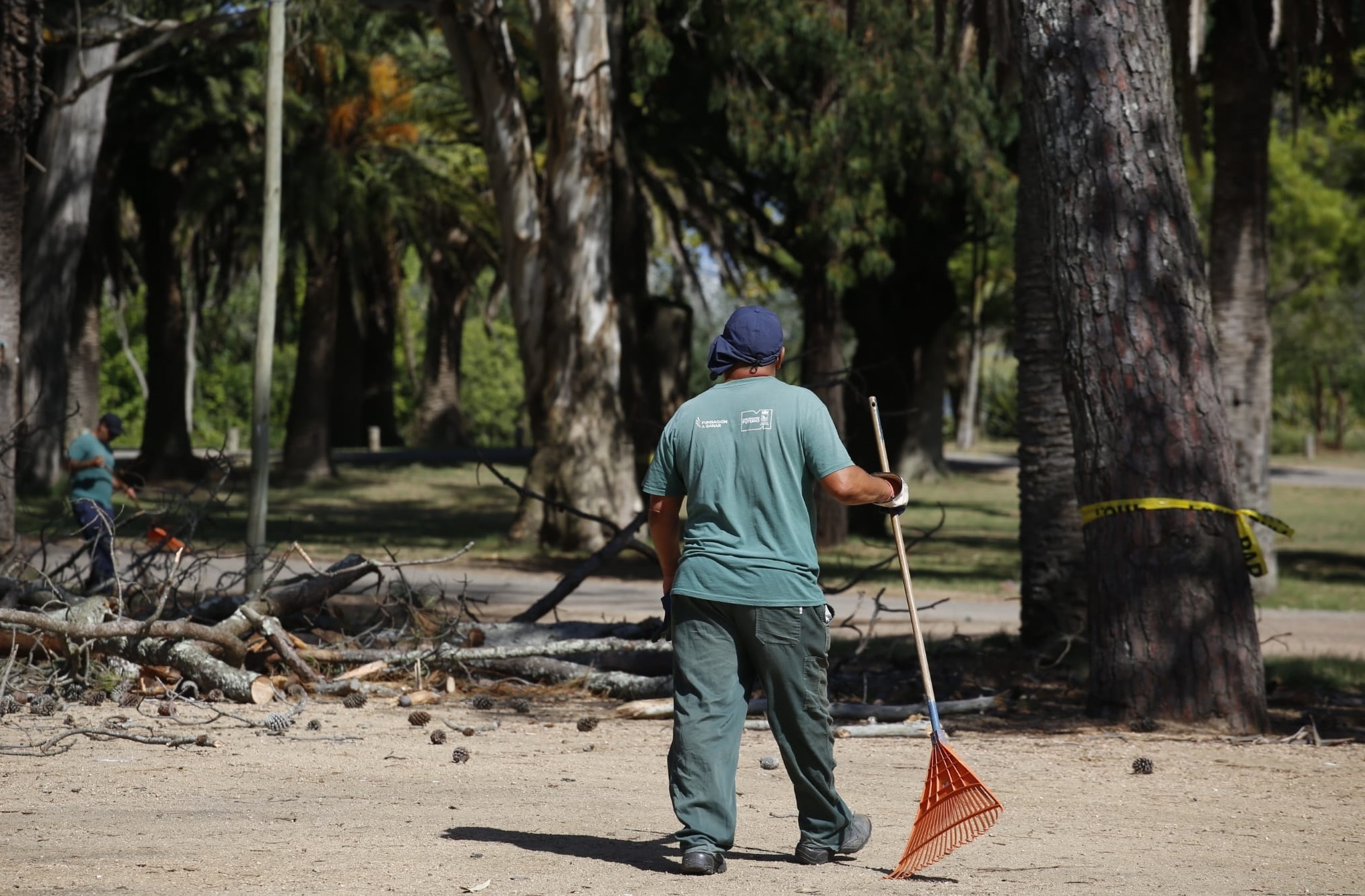 Relevamiento_Arboles-5 Relevamiento_Arboles-5