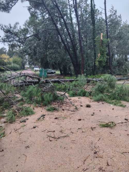 Temporal abril 2026 002