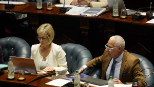 Carlos Negro Interpelación