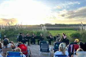 Departamento de Cultura Maldonado