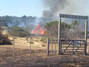 Incendio en entre José Ignacio y el límite con Rocha, sobre la Ruta 10.