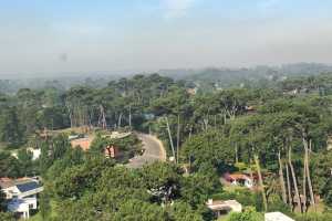 Gran parte de Punta del Este y zonas de Maldonado están afectadas por el humo, por la dirección del viento.