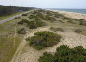 Este es el área donde se pretende desarrollar "Marea Beach"