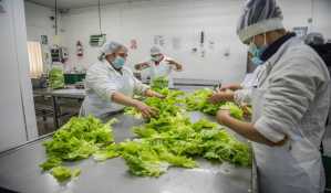 manipulación de alimentos