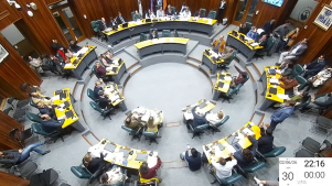 pleno junta