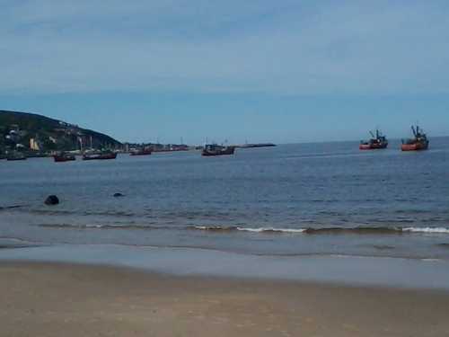 Parte de la flota pesquera fondeada este martes en la costa de Piriápolis
