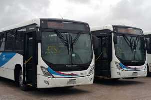 buses
