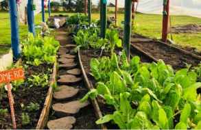 Visitaron dos escuelas de San Carlos donde se trabajan hábitos de alimentación saludable