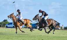 Este verano el mejor polo del mundo llega a Punta del Este con la presencia de grandes figuras