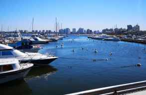 Se resbaló, se golpeó la cabeza y cayó al agua con convulsiones en el puerto de Punta del Este