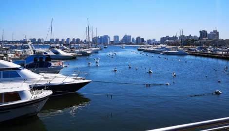 Se resbaló, se golpeó la cabeza y cayó al agua con convulsiones en el puerto de Punta del Este