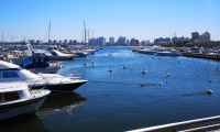 Se resbaló, se golpeó la cabeza y cayó al agua con convulsiones en el puerto de Punta del Este