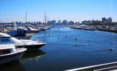 Se resbaló, se golpeó la cabeza y cayó al agua con convulsiones en el puerto de Punta del Este