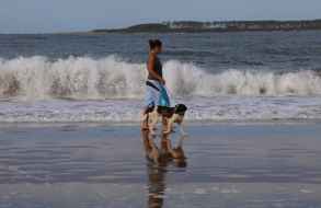 Denuncias por presencia de mascotas en playas no autorizadas debe realizarse ante Prefectura