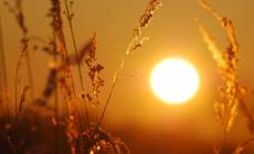 El Inumet advierte sobre ola de calor: desde el fin de semana afectará gran parte del país