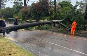 Se produjeron daños estructurales, voladura de techos, e interrupción de servicios en Maldonado