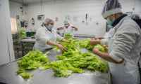 Prueba teórica para carné de manipulación de alimentos en San Carlos
