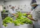 Inefop capacitará gratuitamente a empresarios y técnicos del sector alimentario