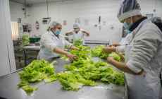 Inefop capacitará gratuitamente a empresarios y técnicos del sector alimentario