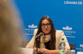Diputada De Armas propone ampliar límites de edad para acceder a reproducción asistida