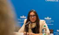 Diputada De Armas propone ampliar límites de edad para acceder a reproducción asistida