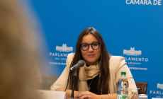 Diputada De Armas propone ampliar límites de edad para acceder a reproducción asistida