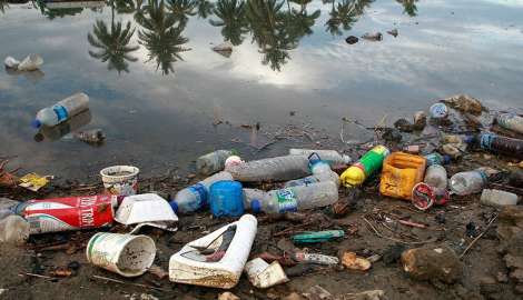 Día Mundial del Medio Ambiente con énfasis en el gran problema de los residuos plásticos