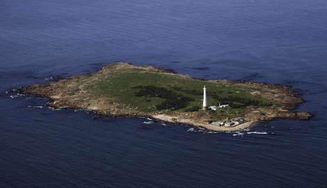 El Ministerio de Ambiente anunció que la Isla de Lobos será declarada Área Marina Protegida