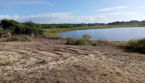 Realizaron limpieza de Laguna Escondida por acumulación de cantidades de algas en los bordes