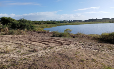 Realizaron limpieza de Laguna Escondida por acumulación de cantidades de algas en los bordes