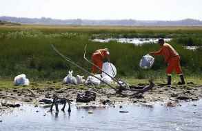 Con apoyo de la IDM, vecinos encararon la limpieza de cañada que desemboca en el humedal