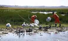 Con apoyo de la IDM, vecinos encararon la limpieza de cañada que desemboca en el humedal