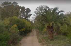 Investigan la presunta usurpación de decenas de padrones en Sauce de Portezuelo y Ocean Park