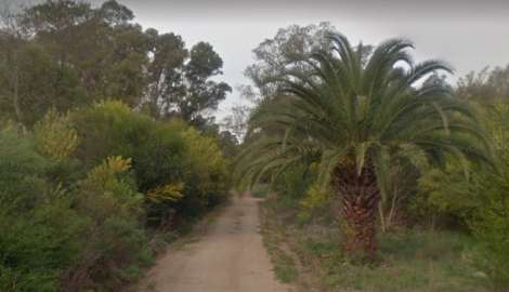 Investigan la presunta usurpación de decenas de padrones en Sauce de Portezuelo y Ocean Park