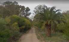 Investigan la presunta usurpación de decenas de padrones en Sauce de Portezuelo y Ocean Park