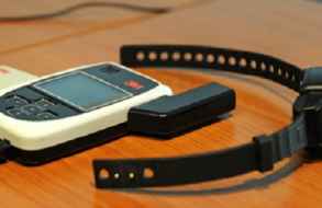 Alarmante seguidilla de casos de violencia doméstica y desacato a medidas cautelares