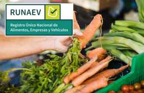 Realizan lanzamiento del Registro Único Nacional de Alimentos, Empresas y Vehículos