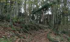 Hallaron restos óseos que podrían pertenecer a una mujer desaparecida en junio de 2014