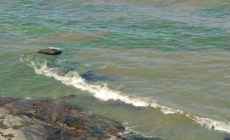 Piden precaución ante presencia de floraciones de cianobacterias en laguna Garzón