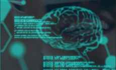 Invitan a Jornadas de Inteligencia Artificial en la Cámara Empresarial de Maldonado