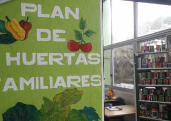 Plan de huertas Familiares: comenzó la entrega de semillas primavera-verano
