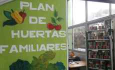 Plan de huertas Familiares: comenzó la entrega de semillas primavera-verano