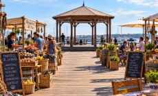 Festival Gastronómico en la Glorieta del Puerto de Punta del Este